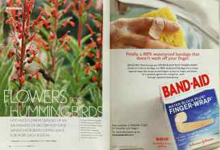 Better Homes & Gardens August 2003 Magazine Article: Page 56