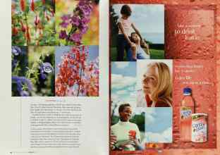 Better Homes & Gardens August 2003 Magazine Article: Page 60