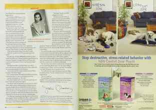 Better Homes & Gardens August 2003 Magazine Article: Page 120