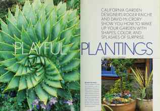 Better Homes & Gardens August 2003 Magazine Article: PLAYFUL PLANTINGS