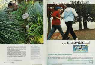 Better Homes & Gardens August 2003 Magazine Article: Page 172