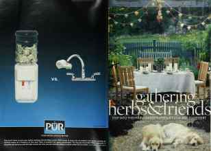 Better Homes & Gardens August 2003 Magazine Article: Page 186