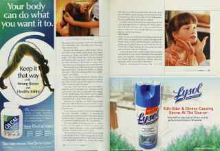 Better Homes & Gardens August 2003 Magazine Article: Page 234