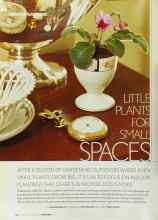 Better Homes & Gardens September 2003 Magazine Article: LITTLE PLANTS FOR SMALL SPACES