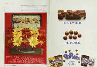 Better Homes & Gardens September 2003 Magazine Article: Page 28