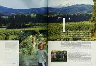 Better Homes & Gardens September 2003 Magazine Article: Page 36