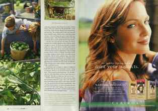 Better Homes & Gardens September 2003 Magazine Article: Page 38