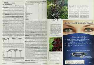 Better Homes & Gardens September 2003 Magazine Article: Page 78