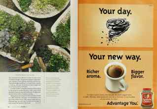 Better Homes & Gardens September 2003 Magazine Article: Page 102