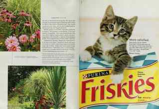 Better Homes & Gardens September 2003 Magazine Article: Page 142