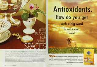 Better Homes & Gardens September 2003 Magazine Article: Page 154