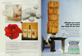 Better Homes & Gardens September 2003 Magazine Article: Page 206