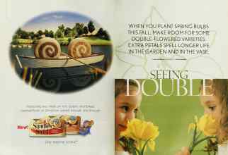 Better Homes & Gardens September 2003 Magazine Article: Page 220