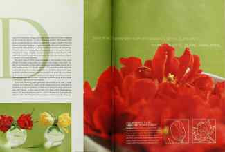 Better Homes & Gardens September 2003 Magazine Article: Page 222