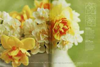 Better Homes & Gardens September 2003 Magazine Article: Page 224