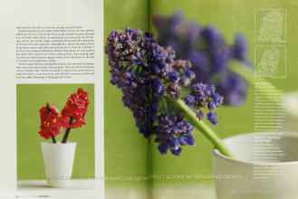 Better Homes & Gardens September 2003 Magazine Article: Page 226