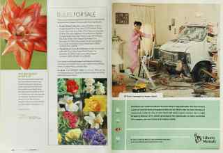 Better Homes & Gardens September 2003 Magazine Article: Page 228