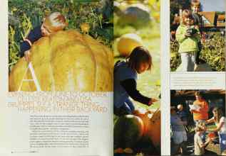 Better Homes & Gardens October 2003 Magazine Article: Page 36