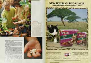 Better Homes & Gardens October 2003 Magazine Article: Page 38