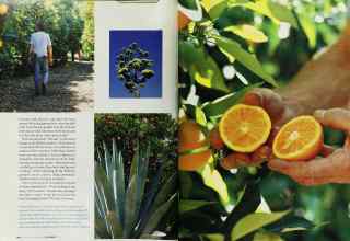 Better Homes & Gardens October 2003 Magazine Article: Page 194