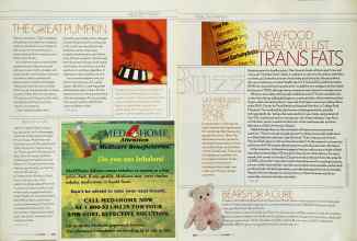 Better Homes & Gardens October 2003 Magazine Article: Page 249