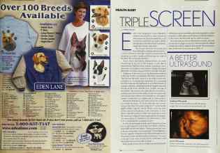 Better Homes & Gardens October 2003 Magazine Article: Page 255