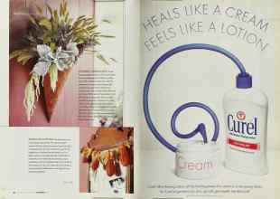 Better Homes & Gardens November 2003 Magazine Article: Page 26