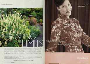 Better Homes & Gardens November 2003 Magazine Article: Page 44