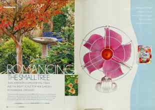 Better Homes & Gardens November 2003 Magazine Article: Page 104