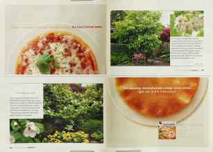 Better Homes & Gardens November 2003 Magazine Article: Page 108