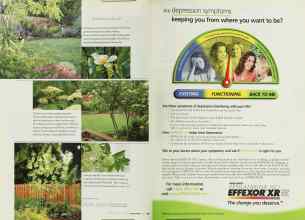 Better Homes & Gardens November 2003 Magazine Article: Page 110