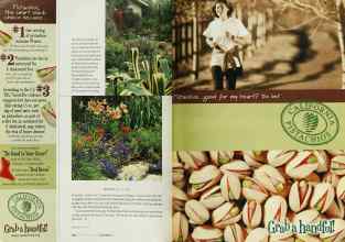 Better Homes & Gardens November 2003 Magazine Article: Page 130