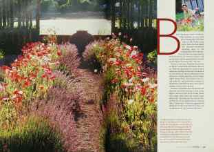 Better Homes & Gardens November 2003 Magazine Article: Page 220