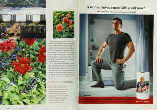Better Homes & Gardens November 2003 Magazine Article: Page 224
