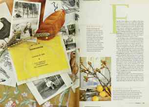 Better Homes & Gardens November 2003 Magazine Article: Page 236