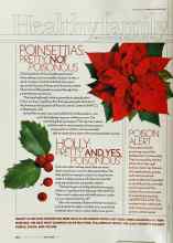 Better Homes & Gardens December 2003 Magazine Article: POINSETTIAS: PRETTY NOT POISONOUS