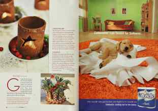 Better Homes & Gardens December 2003 Magazine Article: Page 48