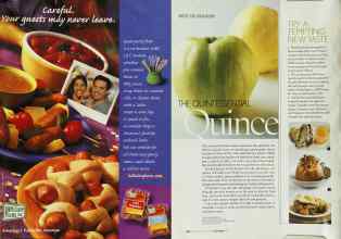 Better Homes & Gardens December 2003 Magazine Article: Page 229