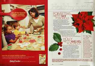 Better Homes & Gardens December 2003 Magazine Article: Page 249