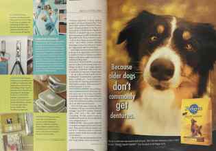 Better Homes & Gardens January 2004 Magazine Article: Page 40