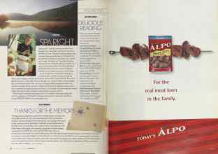 Better Homes & Gardens January 2004 Magazine Article: Page 50