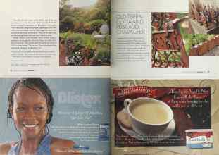 Better Homes & Gardens January 2004 Magazine Article: Page 74