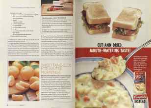 Better Homes & Gardens January 2004 Magazine Article: Page 98