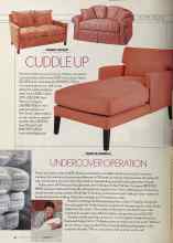 Better Homes & Gardens February 2004 Magazine Article: UNDERCOVER OPERATION