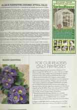 Better Homes & Gardens February 2004 Magazine Article: FOR OUR READERS ONLY: PRIMROSES