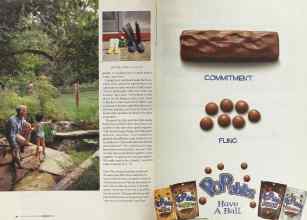 Better Homes & Gardens February 2004 Magazine Article: Page 34