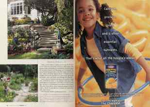 Better Homes & Gardens February 2004 Magazine Article: Page 52