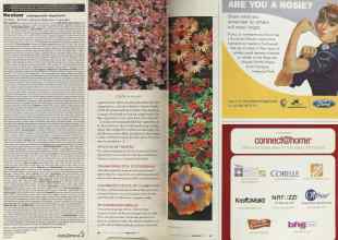 Better Homes & Gardens February 2004 Magazine Article: IN YOUR FACE