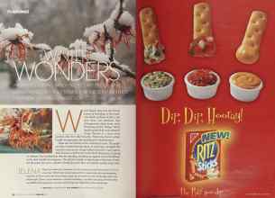 Better Homes & Gardens February 2004 Magazine Article: Page 82