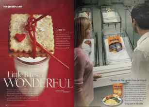 Better Homes & Gardens February 2004 Magazine Article: Page 98